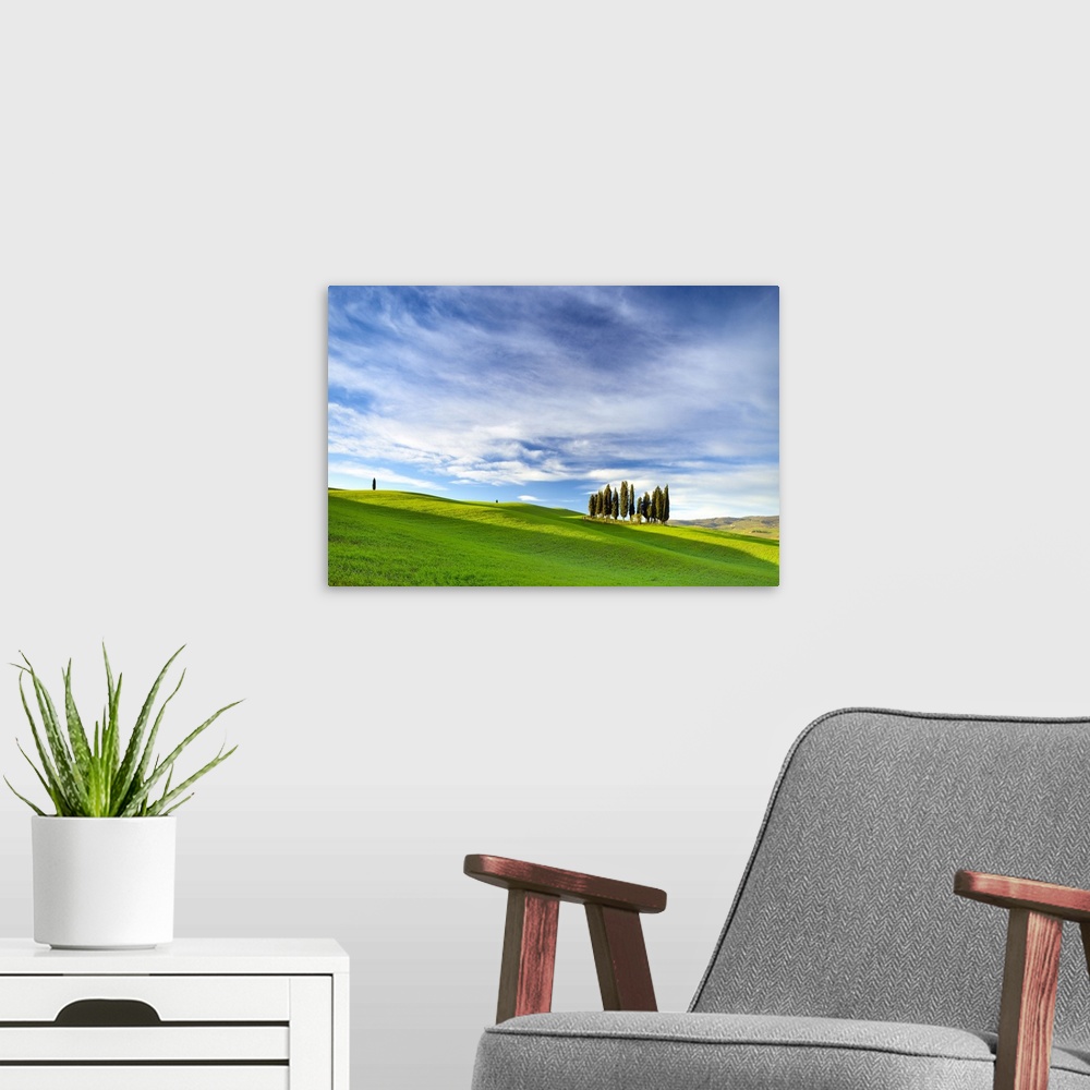 A modern room featuring Italy, Tuscany, Siena district, Orcia Valley, Landscape near San Quirico d'orcia