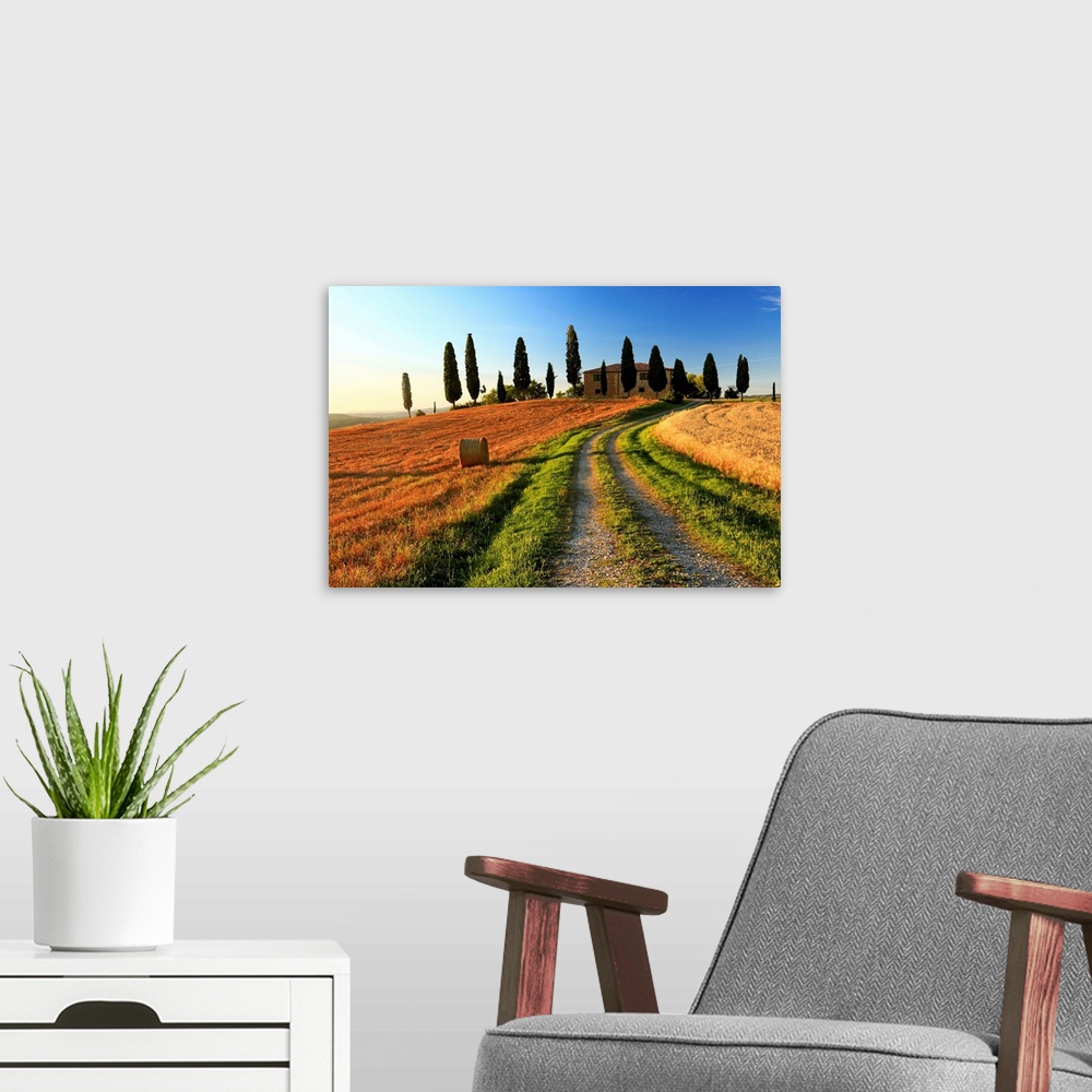 A modern room featuring Italy, Tuscany, Siena district, Orcia Valley, Typical country house near Pienza