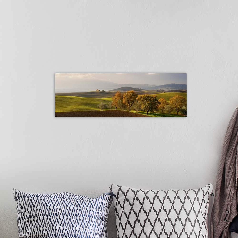A bohemian room featuring Italy, Tuscany, Siena district, Orcia Valley, Typical hilly landscape