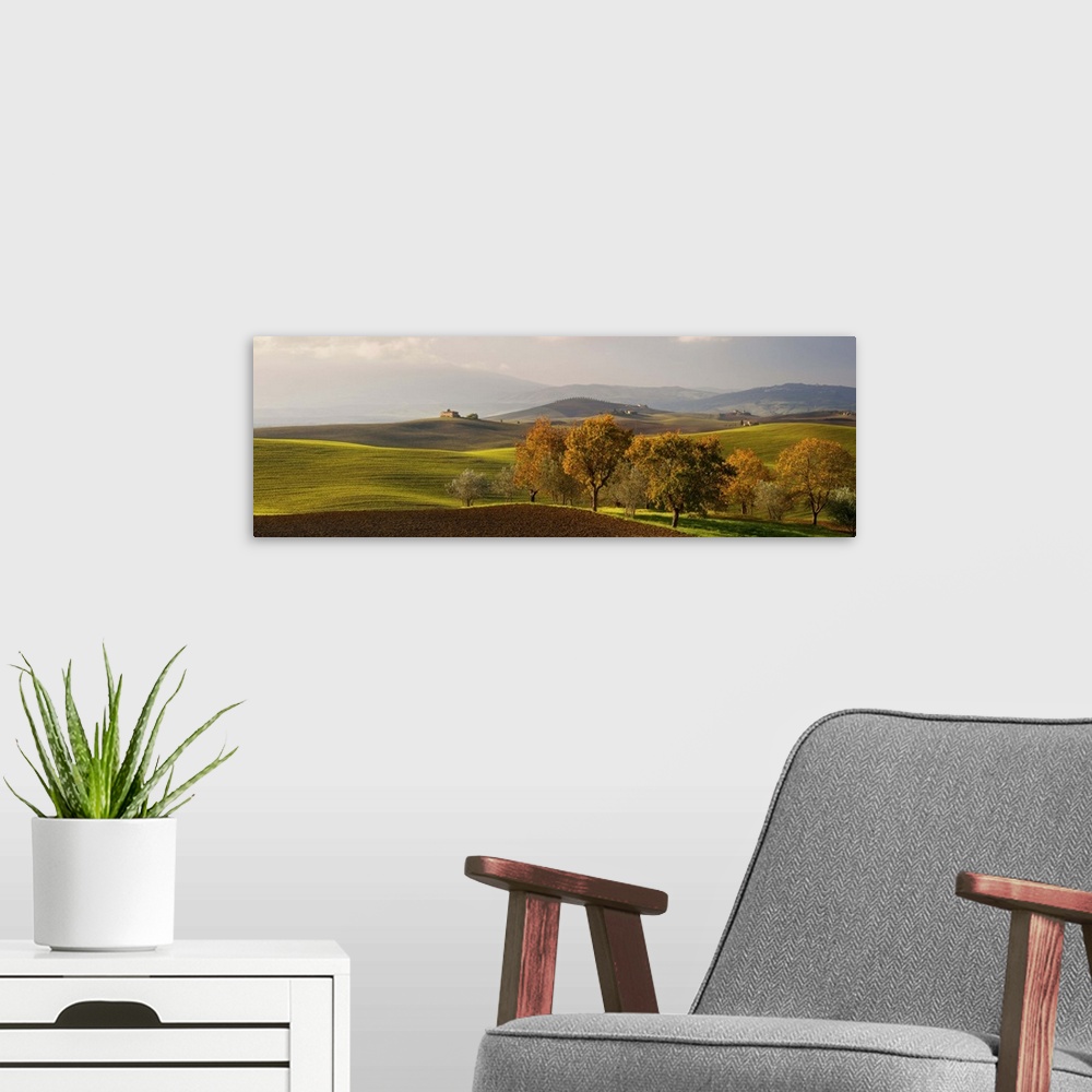 A modern room featuring Italy, Tuscany, Siena district, Orcia Valley, Typical hilly landscape