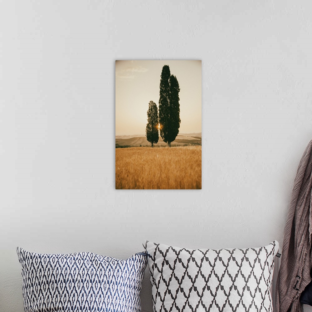A bohemian room featuring Italy, Tuscany, Siena district, Orcia Valley, Typical Tuscan landscape with cypresses.
