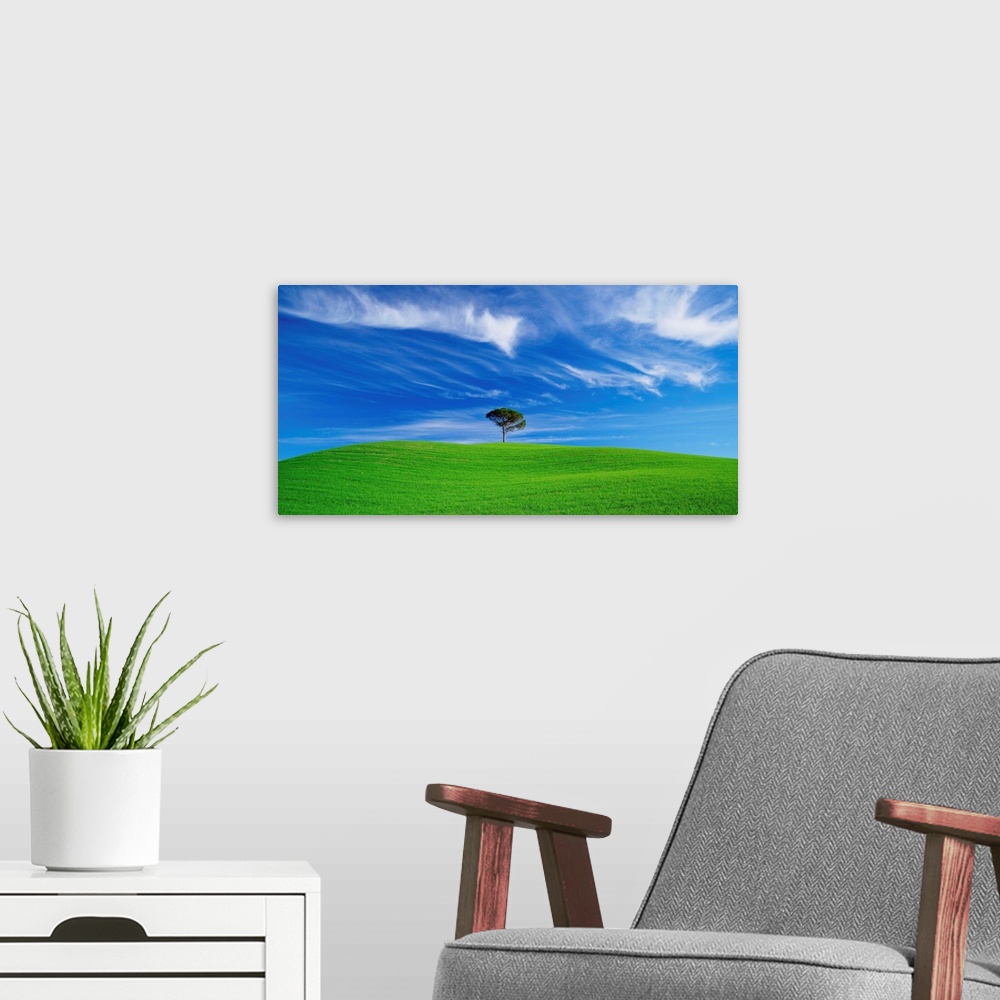 A modern room featuring Italy, Tuscany, Tree in a green field