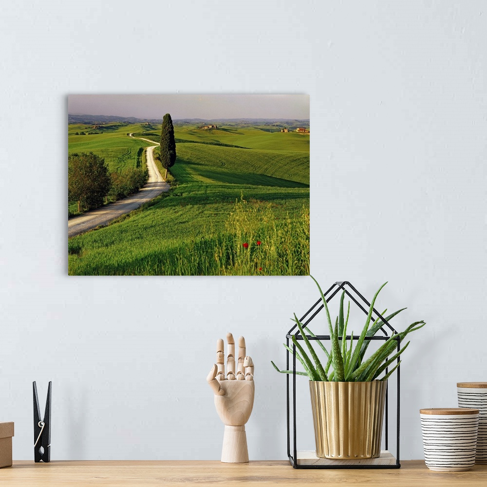 A bohemian room featuring Italy, Tuscany, Typical countryside near Siena