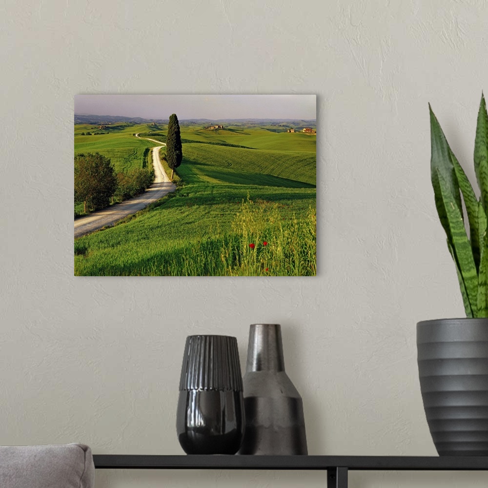 A modern room featuring Italy, Tuscany, Typical countryside near Siena