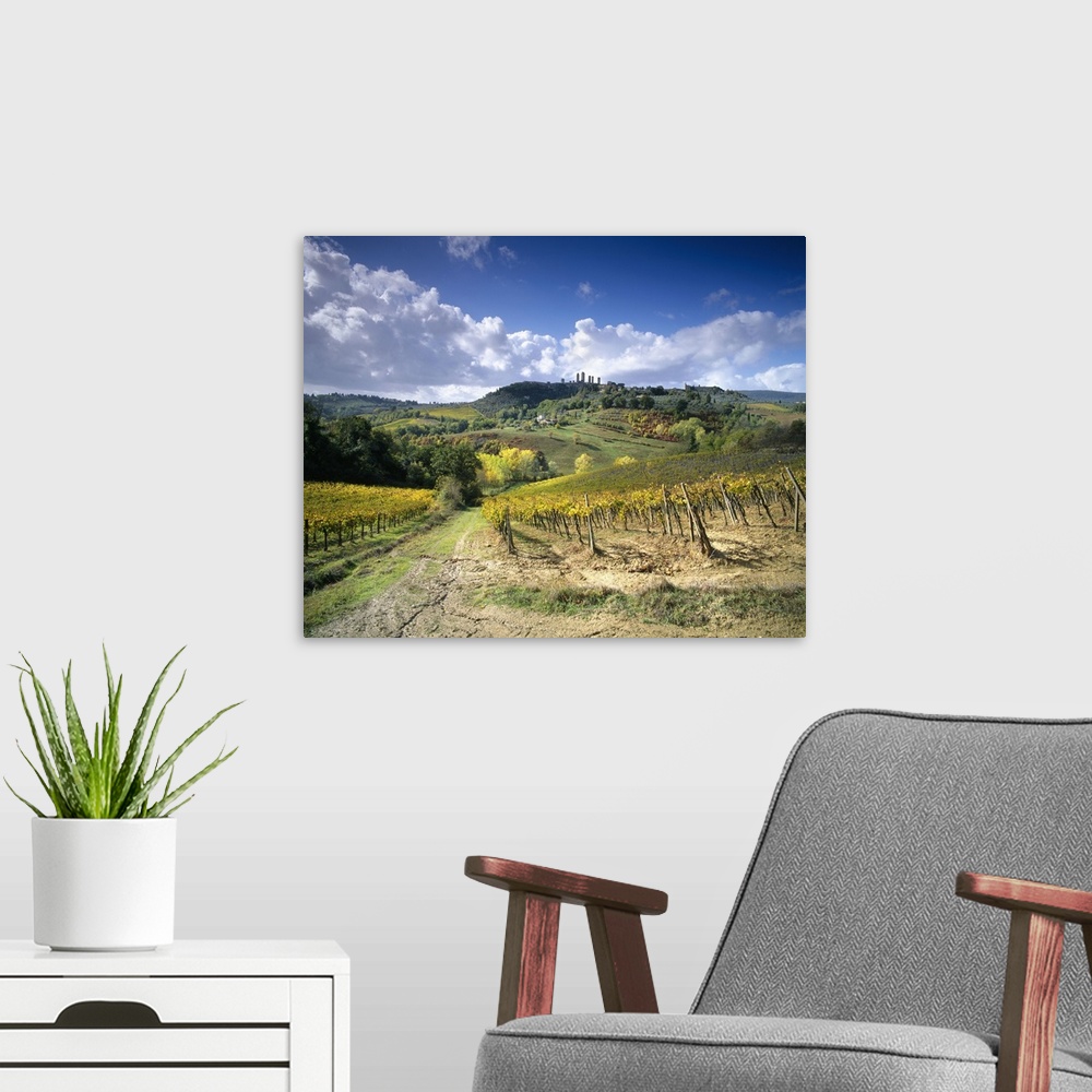 A modern room featuring Italy, Tuscany, Val d'Elsa, San Gimignano, Siena district
