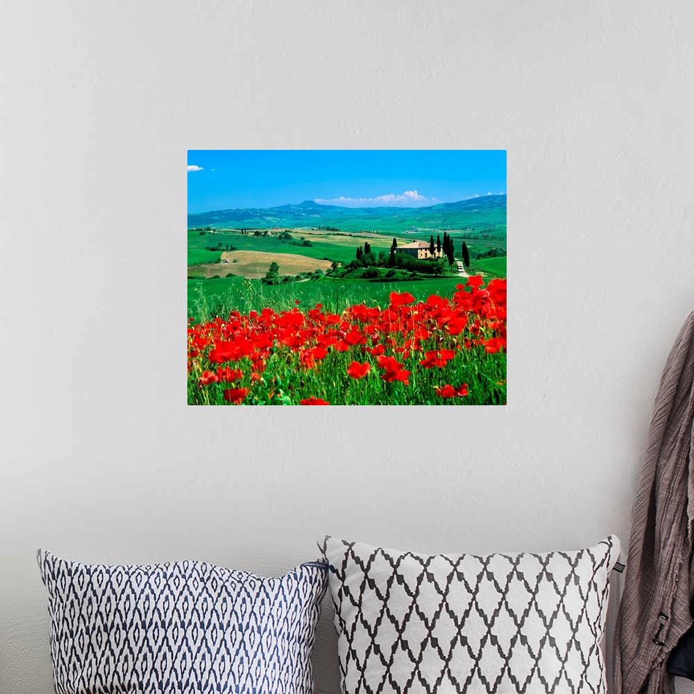 A bohemian room featuring Italy, Tuscany, Val d'Orcia landscape