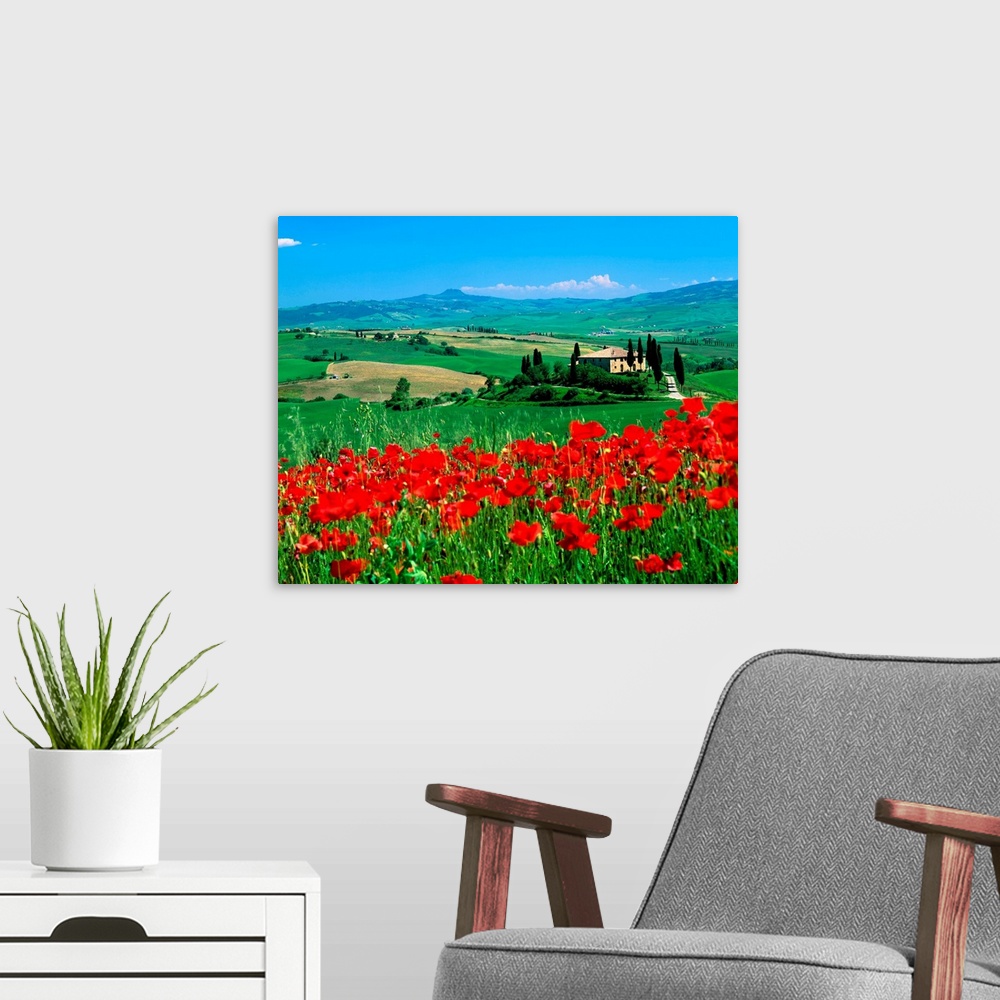 A modern room featuring Italy, Tuscany, Val d'Orcia landscape