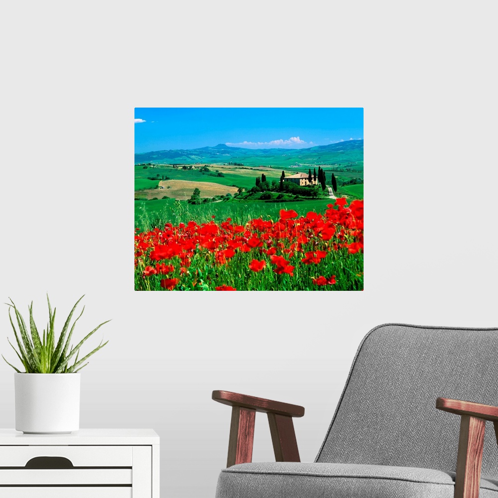 A modern room featuring Italy, Tuscany, Val d'Orcia landscape