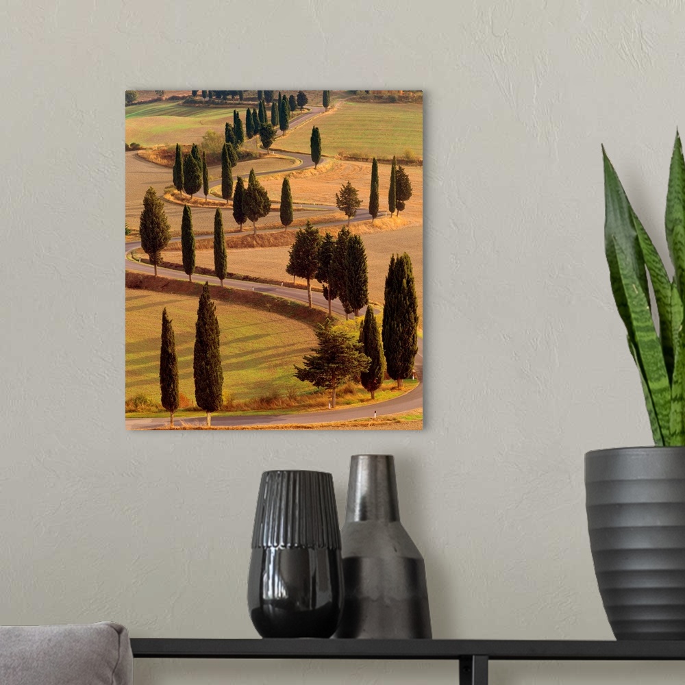 A modern room featuring Italy, Tuscany, Val d'Orcia, Road with cypress
