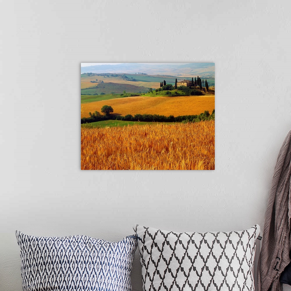 A bohemian room featuring Italy, Tuscany, Val d'Orcia, typical countryside
