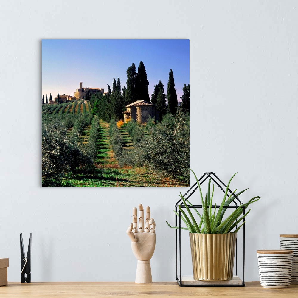 A bohemian room featuring Italy, Tuscany, Villa on hills