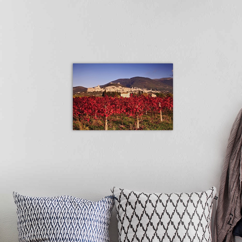 A bohemian room featuring Italy, Umbria, Assisi, View of the town and Mount Subasio from the vineyards