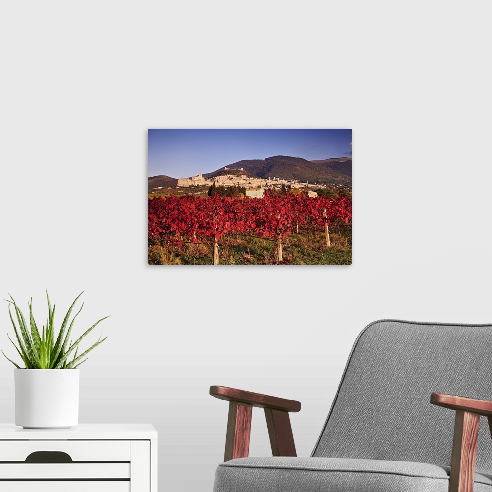 A modern room featuring Italy, Umbria, Assisi, View of the town and Mount Subasio from the vineyards