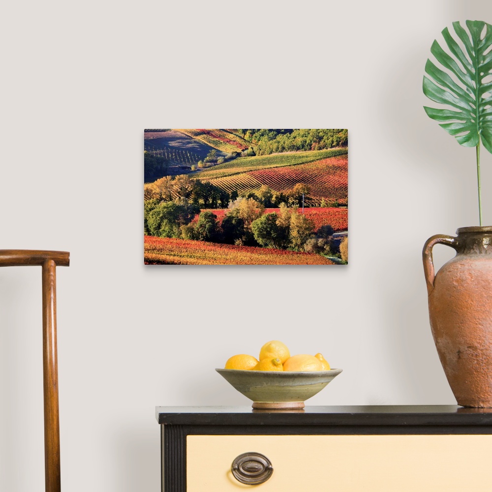 A traditional room featuring Italy, Umbria, Mediterranean area, Perugia district, Autumnal Vineyards near Montefalco