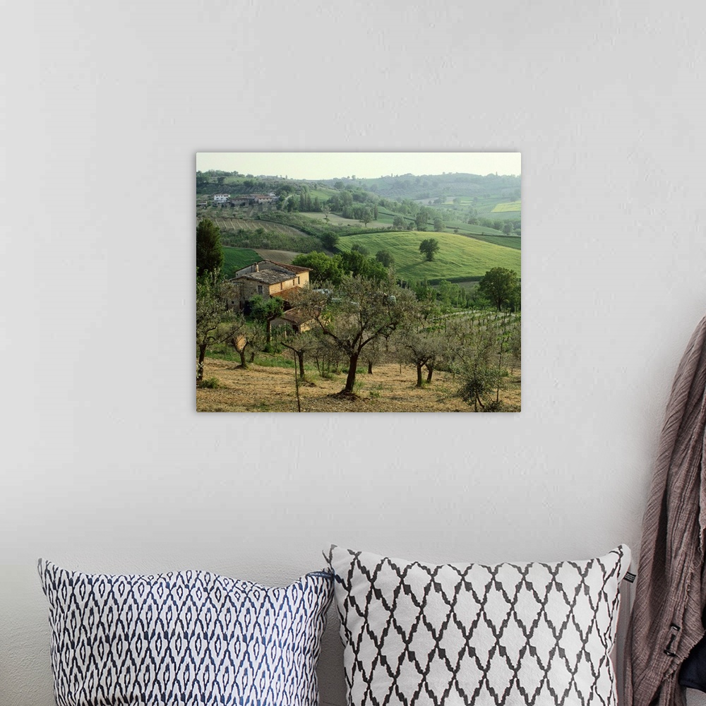 A bohemian room featuring Italy, Umbria, Montefalco, olive trees