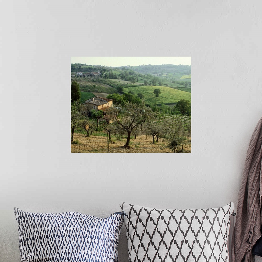 A bohemian room featuring Italy, Umbria, Montefalco, olive trees