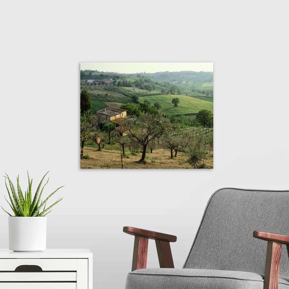 A modern room featuring Italy, Umbria, Montefalco, olive trees