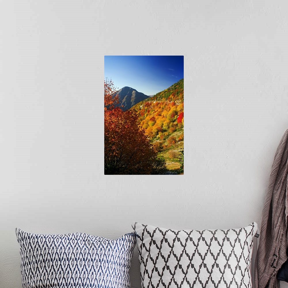 A bohemian room featuring Italy, Umbria, Monti Sibillini National Park, Fall landscape