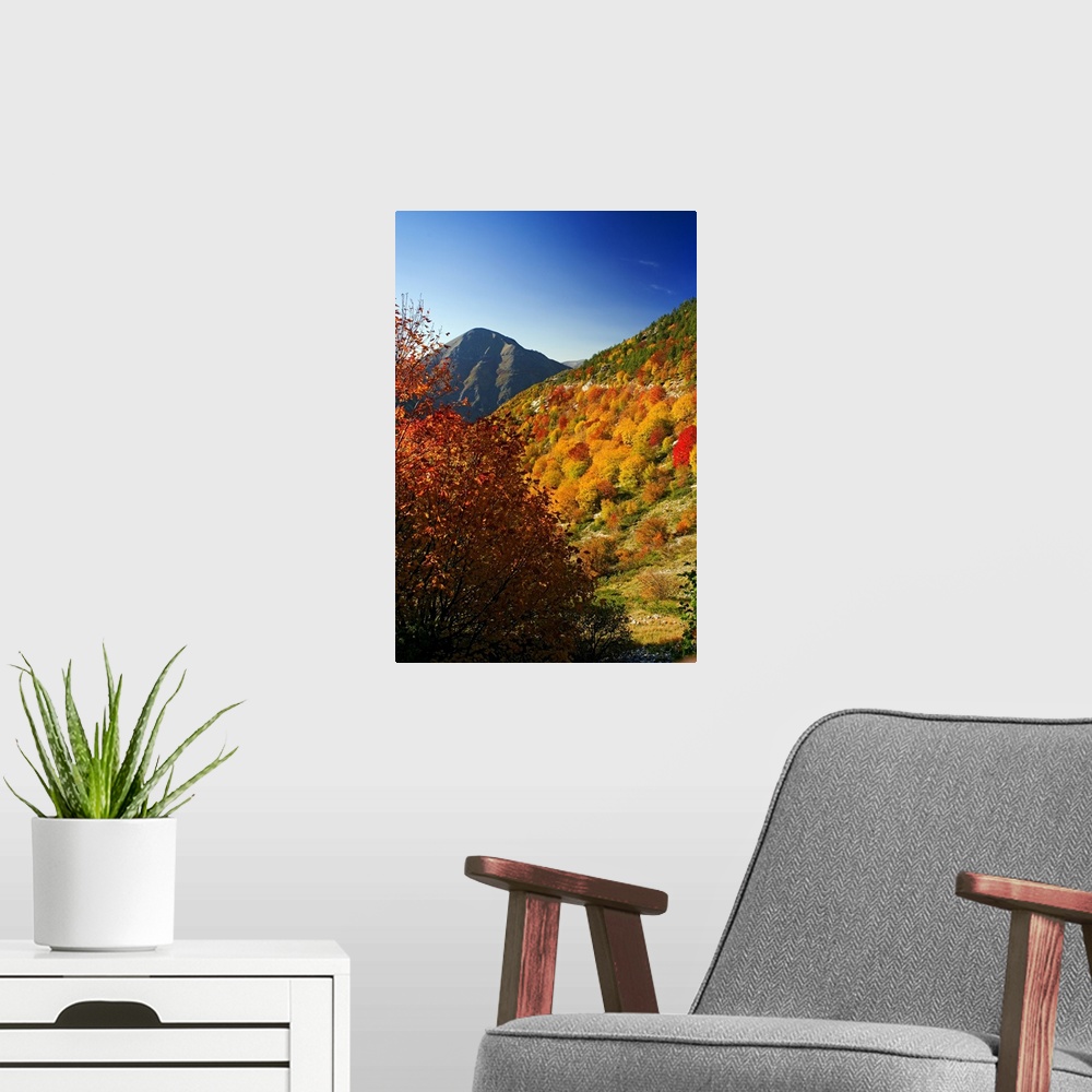 A modern room featuring Italy, Umbria, Monti Sibillini National Park, Fall landscape