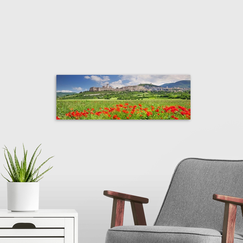 A modern room featuring Italy, Umbria, Perugia district, Assisi, The town in spring