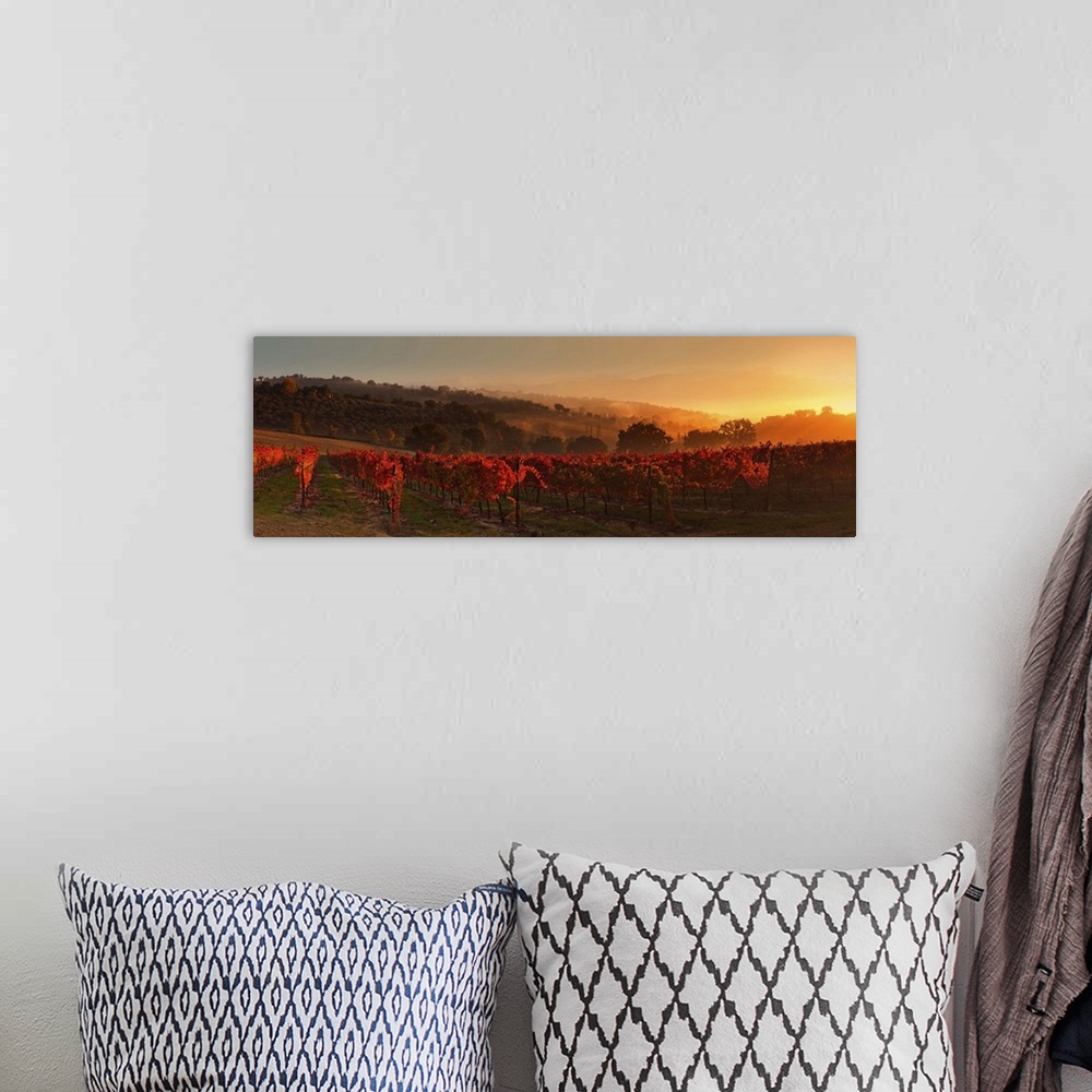 A bohemian room featuring Italy, Umbria, Perugia district, Fog on the hills near Montefalco in the morning