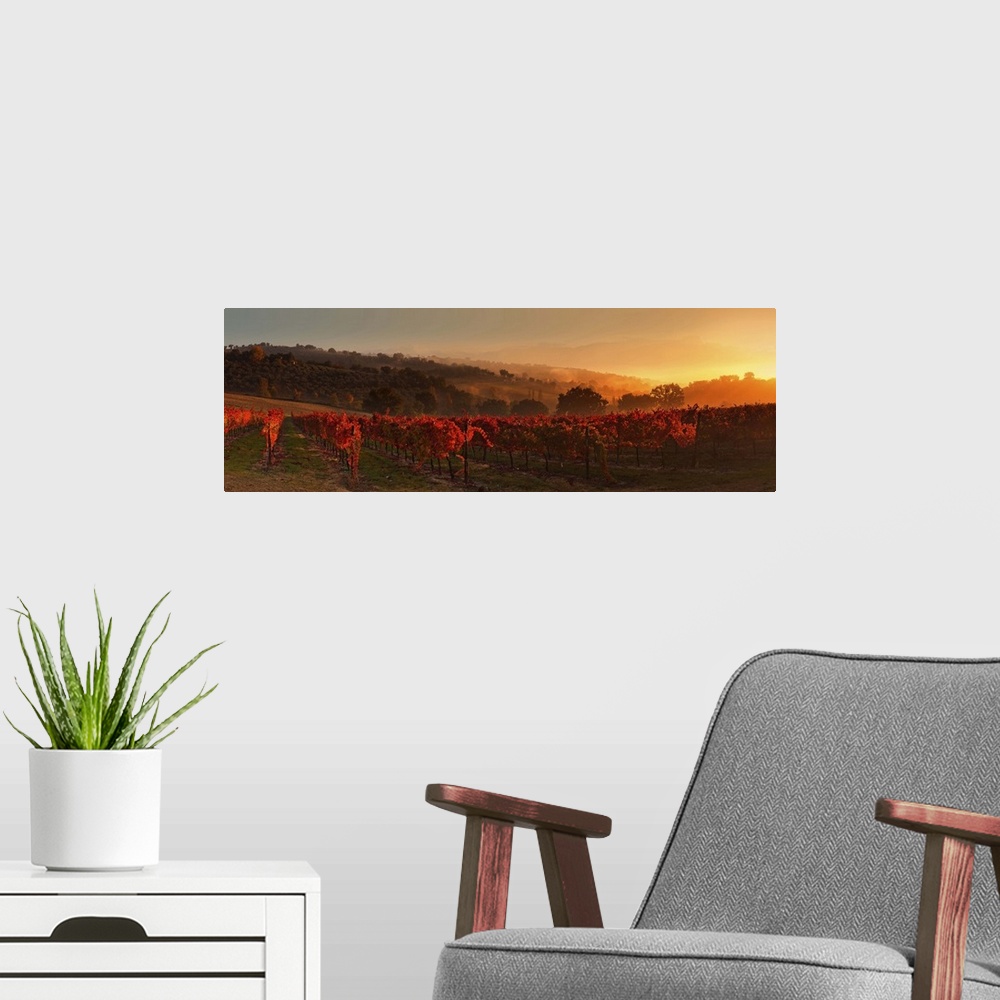 A modern room featuring Italy, Umbria, Perugia district, Fog on the hills near Montefalco in the morning