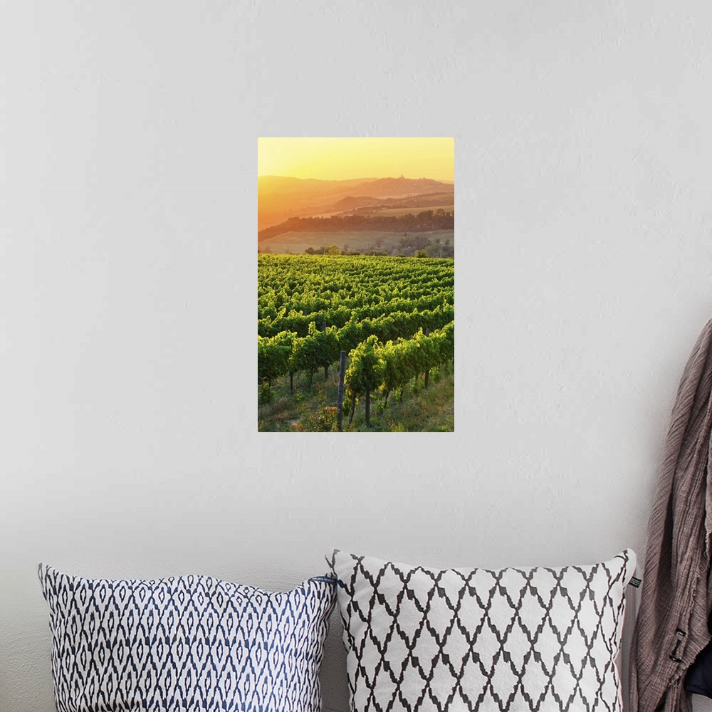 A bohemian room featuring Italy, Umbria, Todi, Vineyards near Todi at sunset