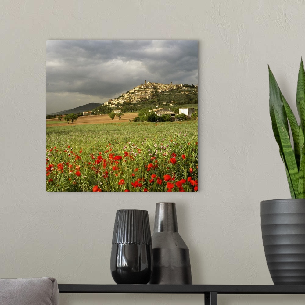 A modern room featuring Italy, Umbria, Trevi, Mediterranean area, Perugia district, Travel Destination, .