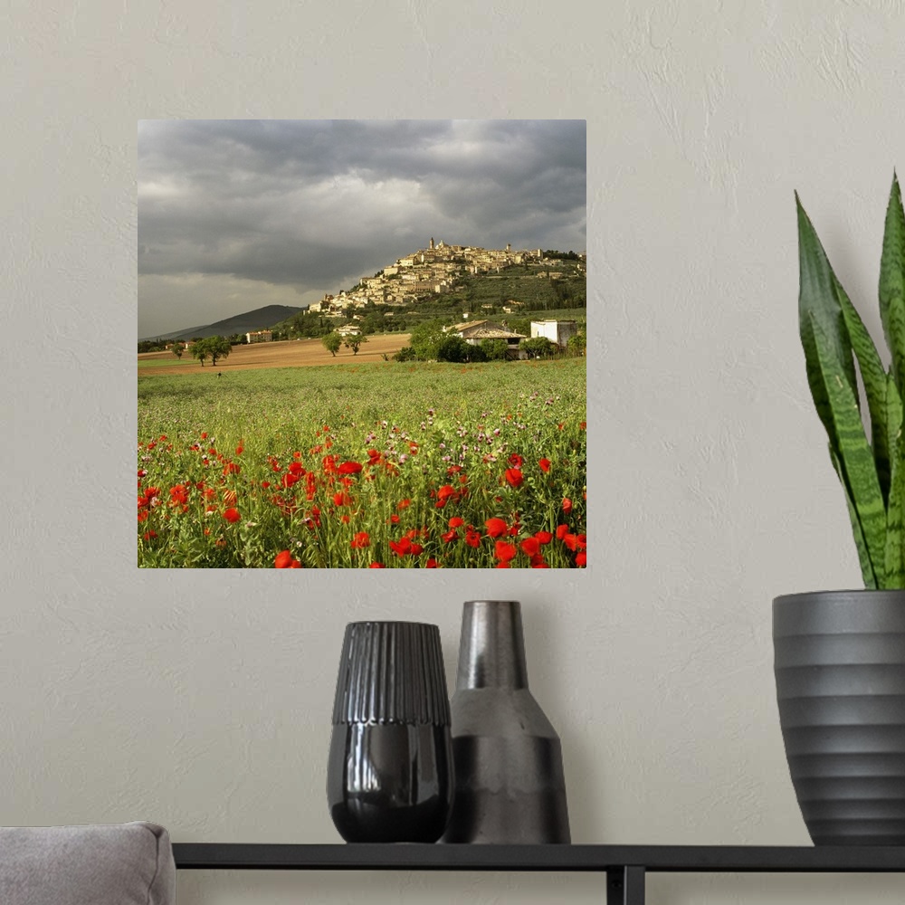 A modern room featuring Italy, Umbria, Trevi, Mediterranean area, Perugia district, Travel Destination, .