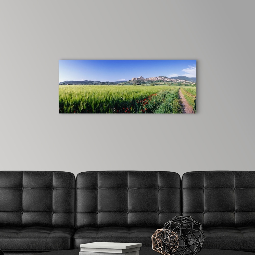 A modern room featuring Italy, Umbria, View towards Assisi town
