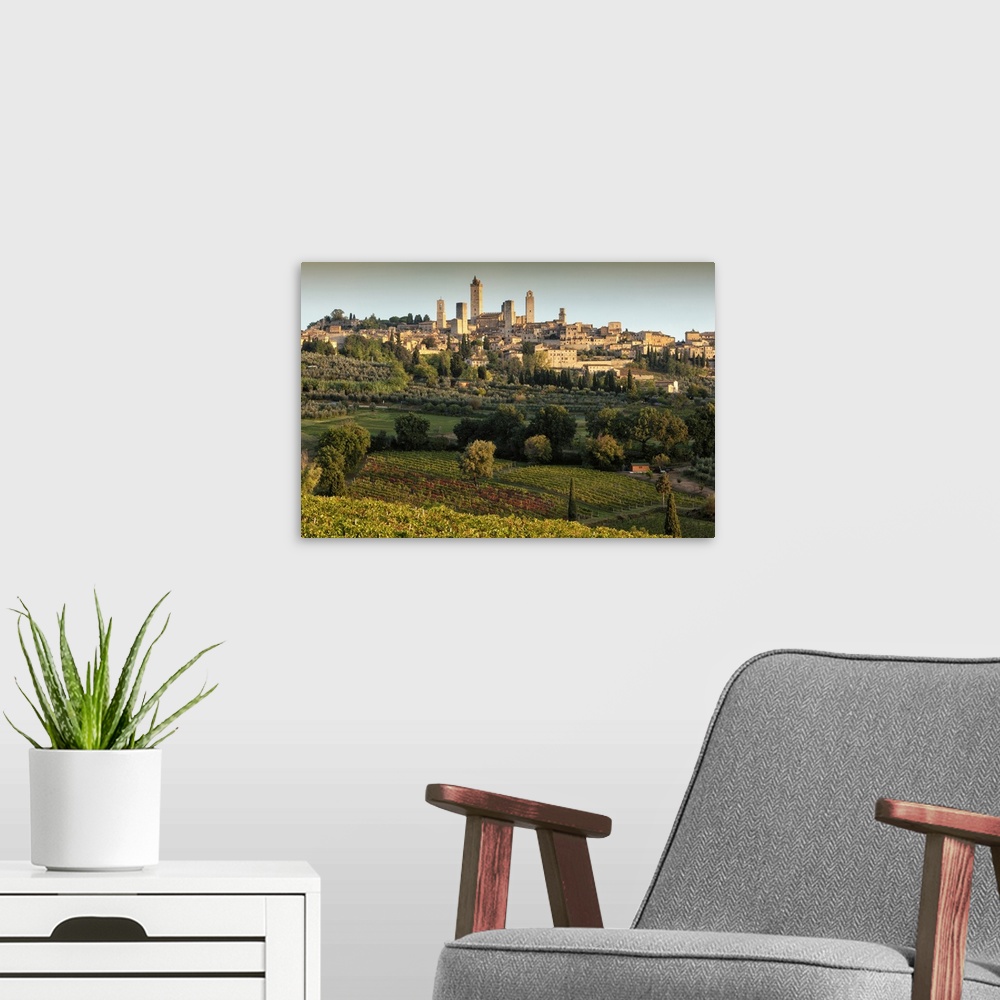 A modern room featuring Italy, Tuscany, Siena district, Val d'Elsa, San Gimignano, Vernaccia vineyards and olive grove wi...