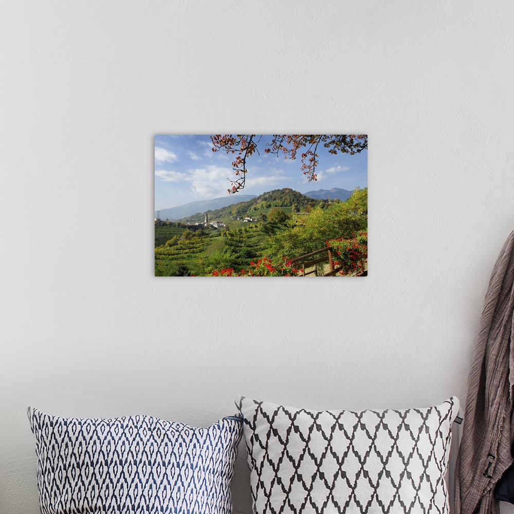 A bohemian room featuring Italy, Veneto, View across vineyards to the village of Rolle