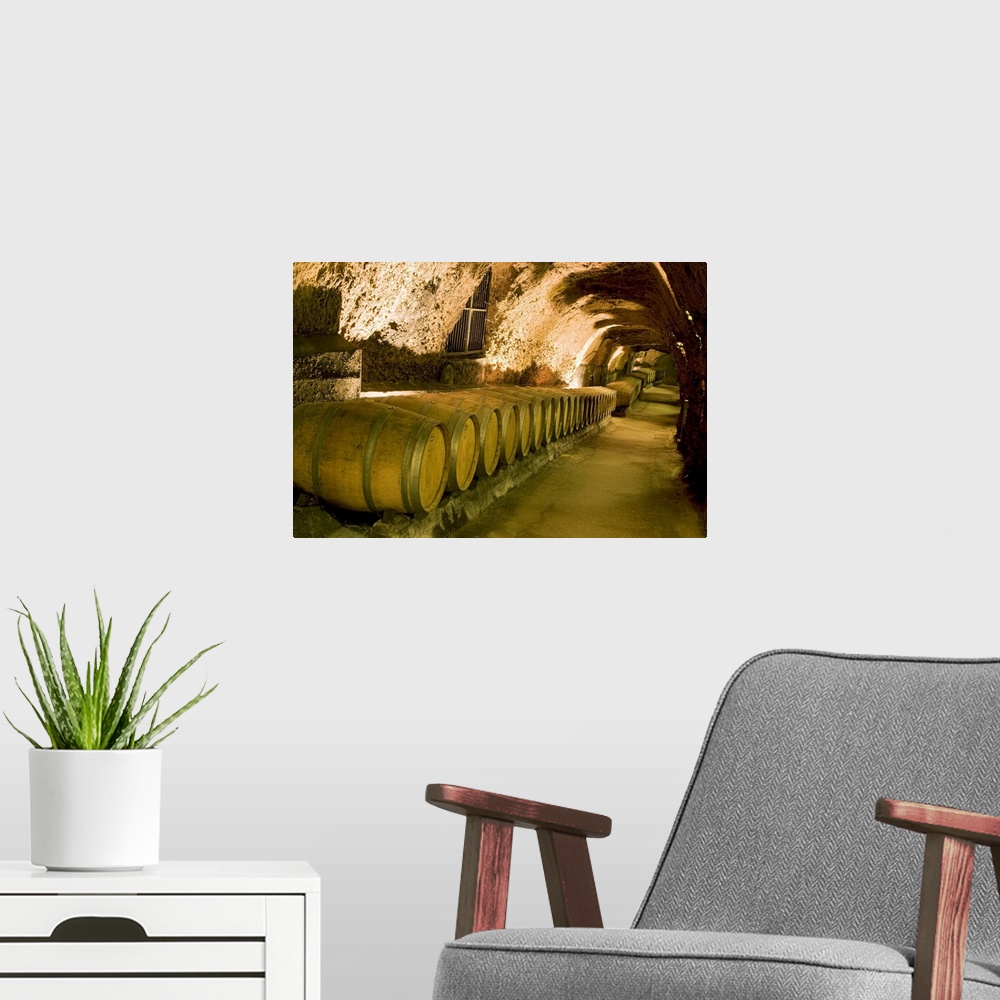 A modern room featuring Lebanon, Beqaa, Barrels in the wine cellar of the Chateau Ksara winery