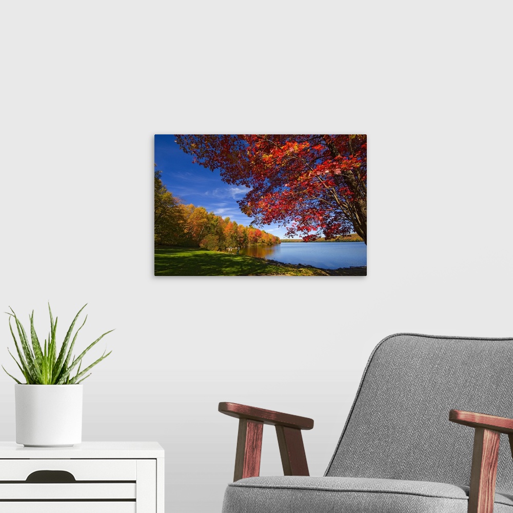 A modern room featuring Maine, Lake George, New England, Skowhegan/Canaan towns, Autumn at Lake George