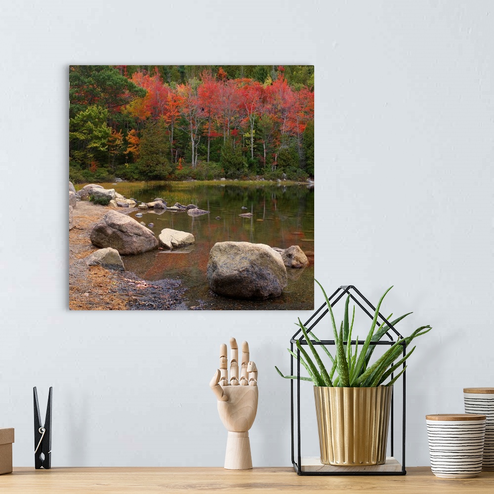 A bohemian room featuring Maine, Mount Desert Island, Autumn colors at Bubble Pond
