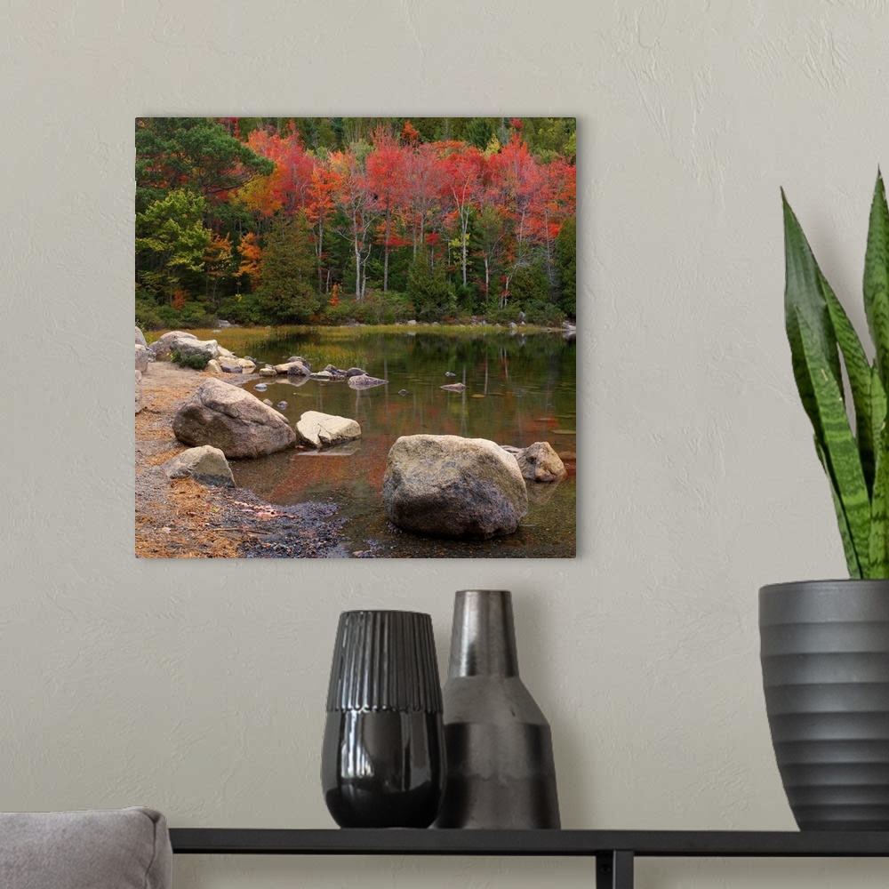 A modern room featuring Maine, Mount Desert Island, Autumn colors at Bubble Pond