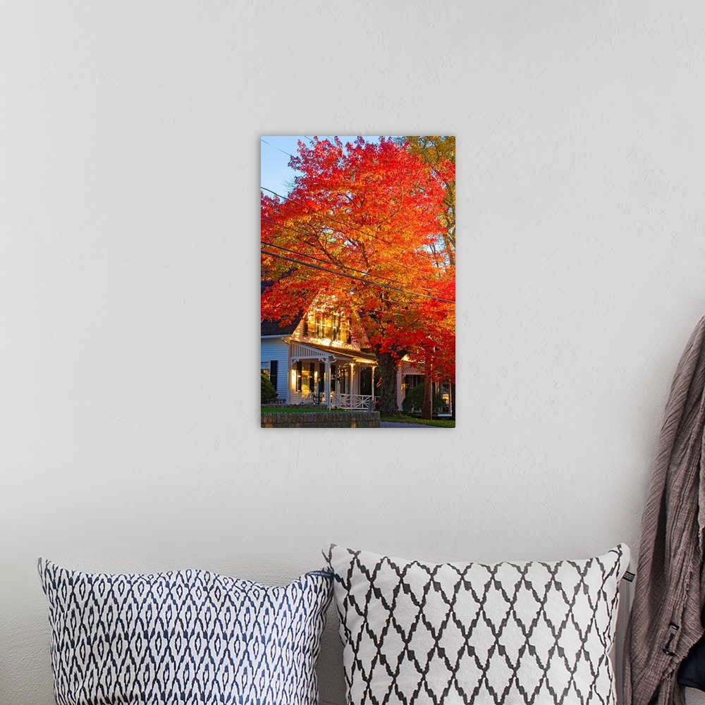 A bohemian room featuring Maine, Mount Desert Island, Autumn tree at Somesville