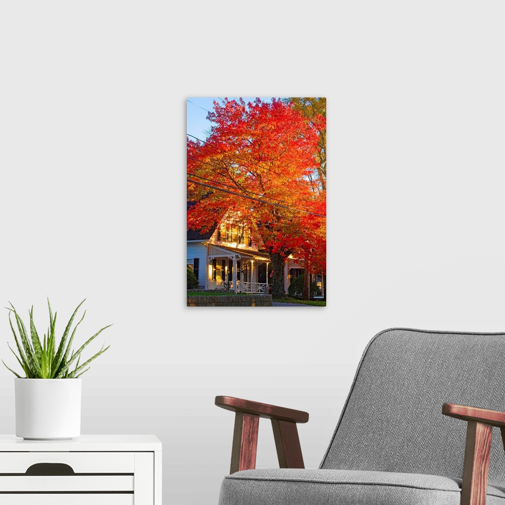 A modern room featuring Maine, Mount Desert Island, Autumn tree at Somesville