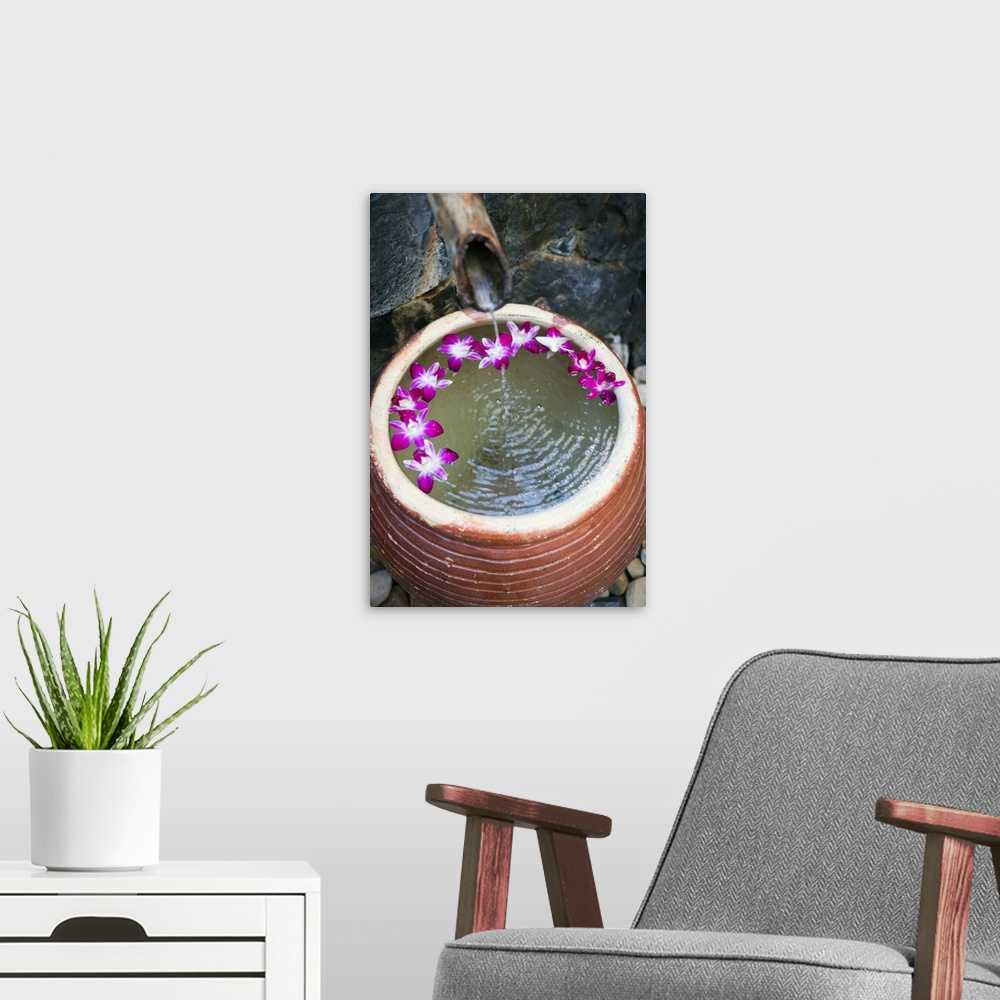 A modern room featuring Malaysia, Kedah, Langkawi, Pot with water and orchids