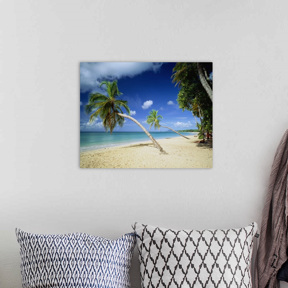 A bohemian room featuring Martinique, French West Indies, Caribbean, Les Salines beach