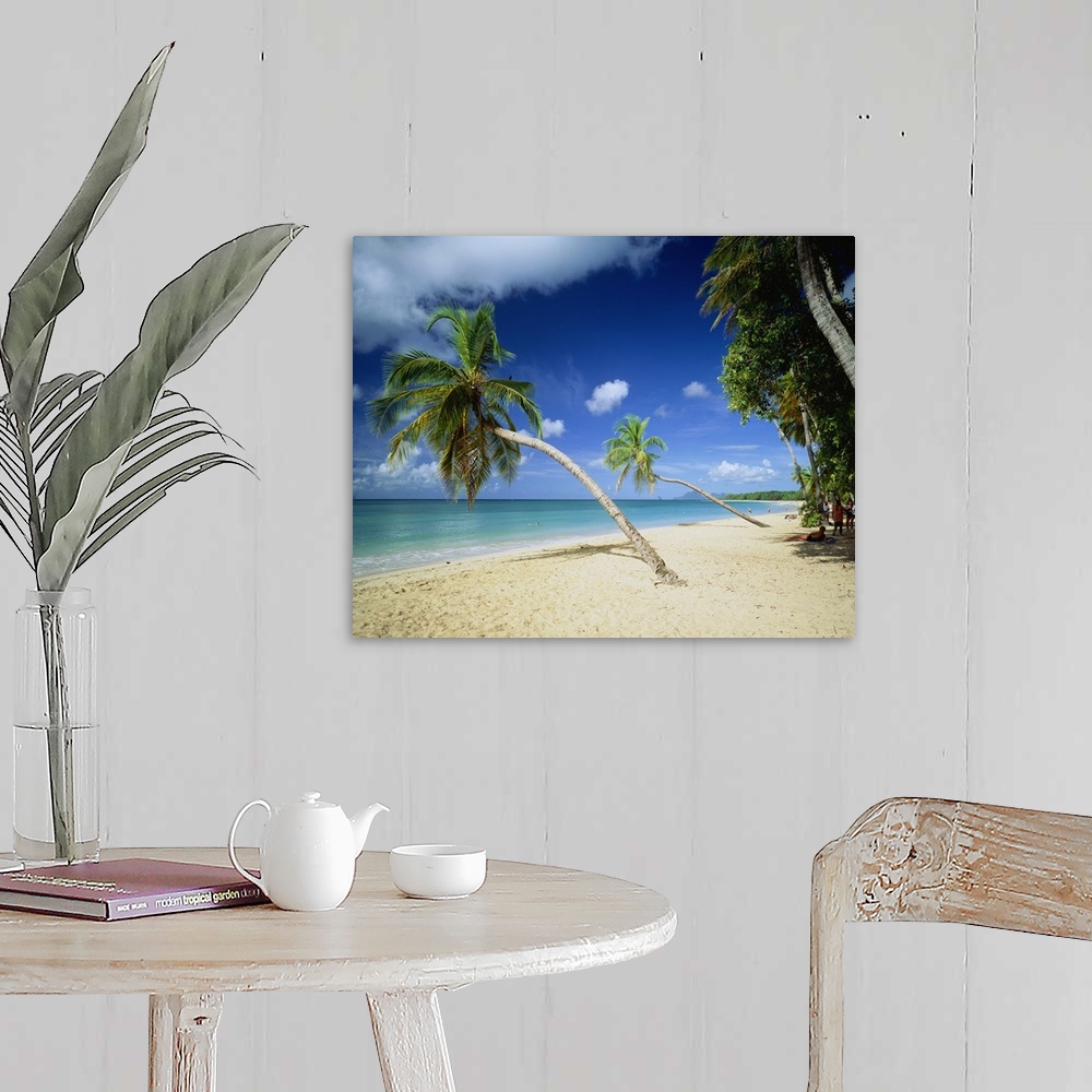 A farmhouse room featuring Martinique, French West Indies, Caribbean, Les Salines beach