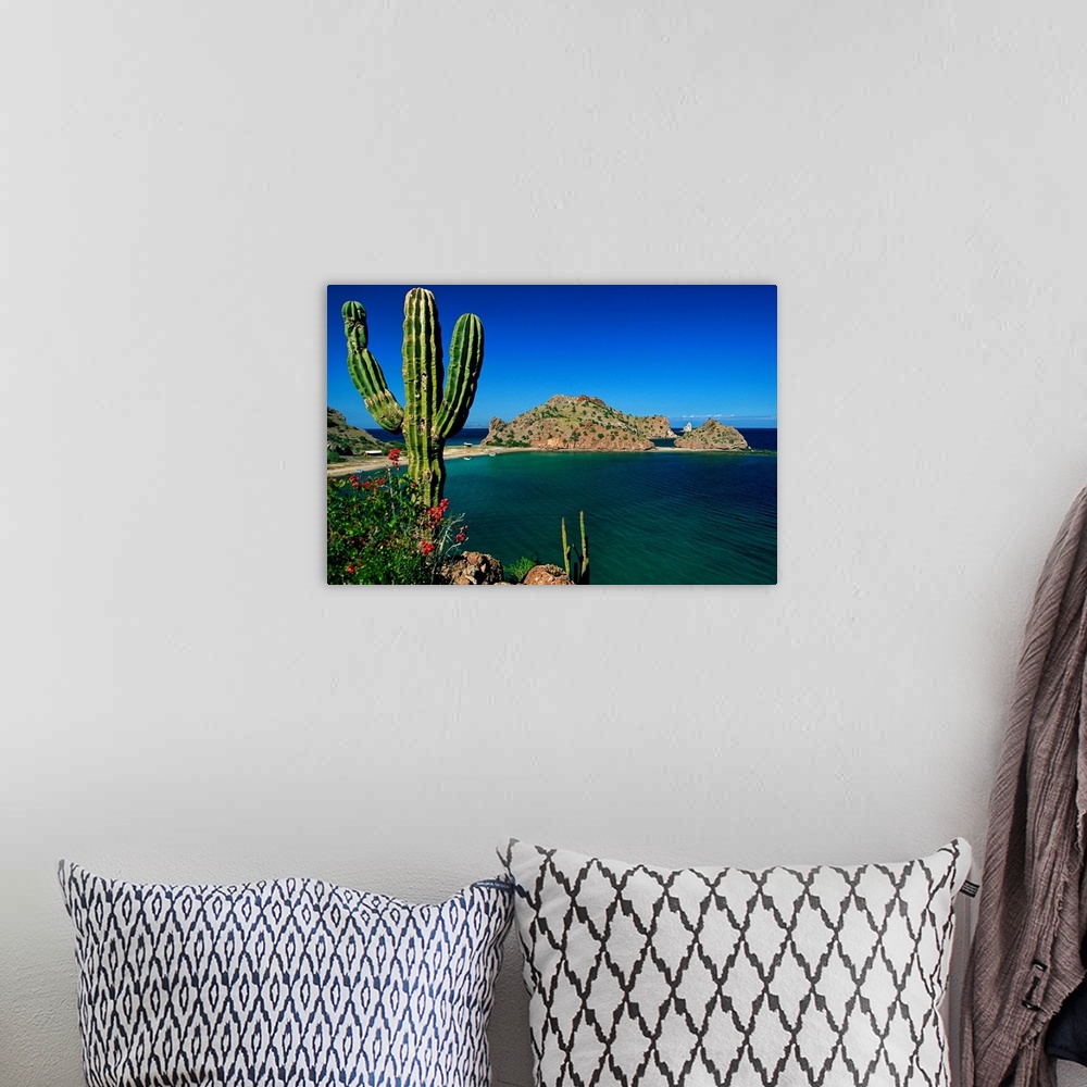 A bohemian room featuring Mexico, Baja California Sur, Gulf of California, Sea of Cortez, Bahia Agua Verde