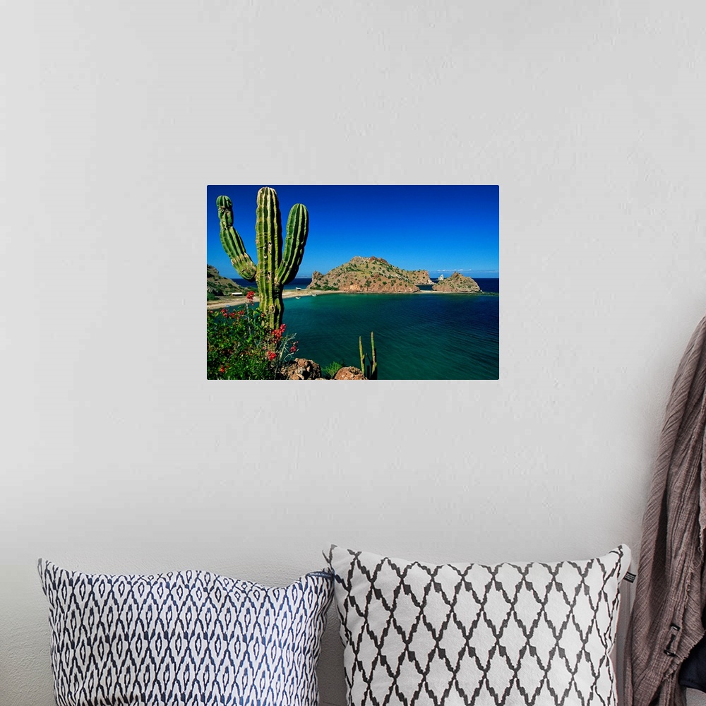 A bohemian room featuring Mexico, Baja California Sur, Gulf of California, Sea of Cortez, Bahia Agua Verde