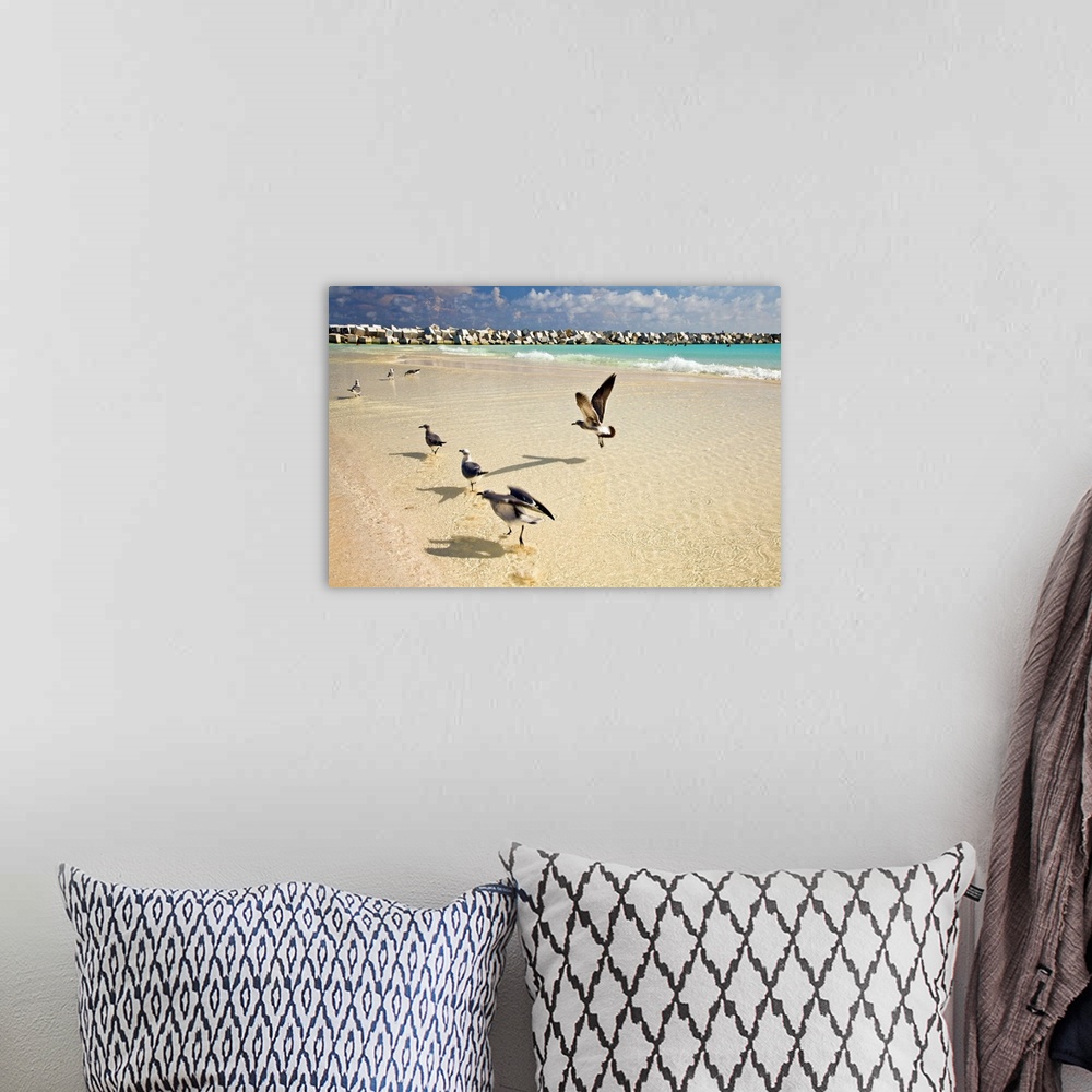 A bohemian room featuring Mexico, Cancun, seagulls at Chac Mool beach