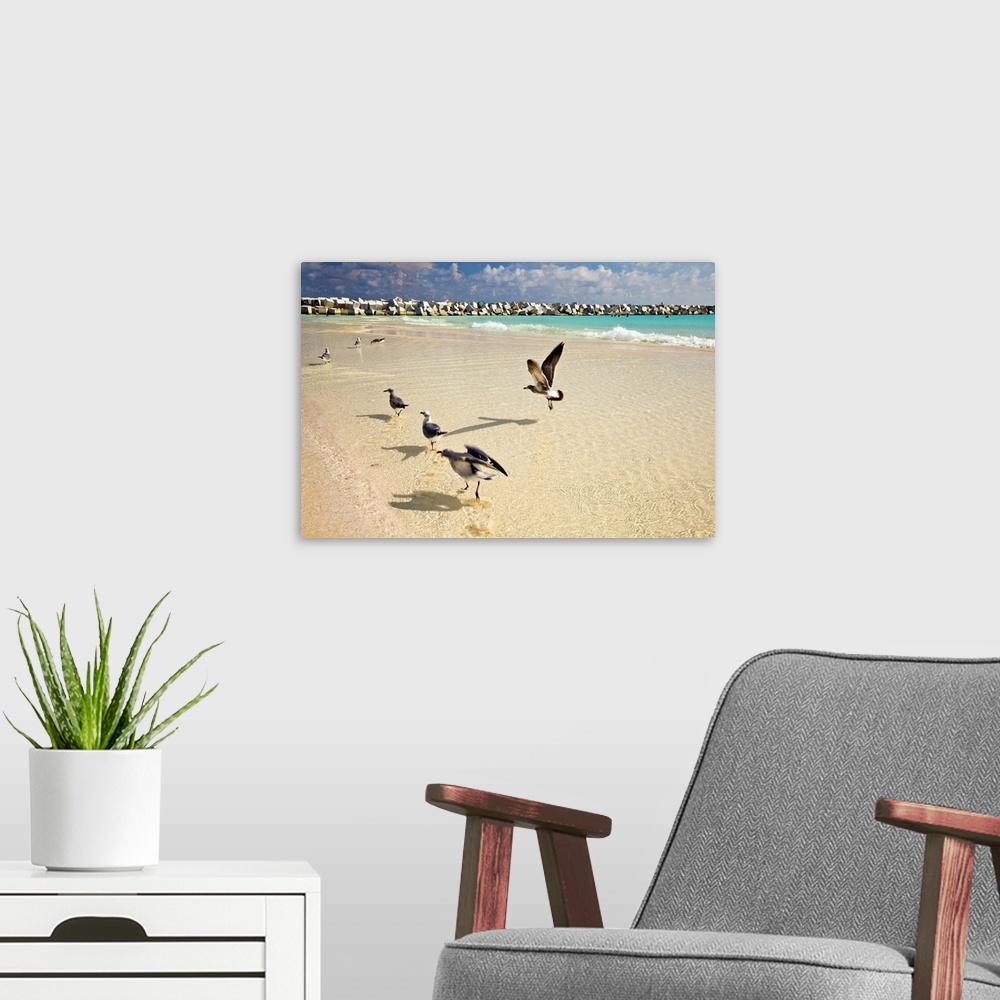 A modern room featuring Mexico, Cancun, seagulls at Chac Mool beach