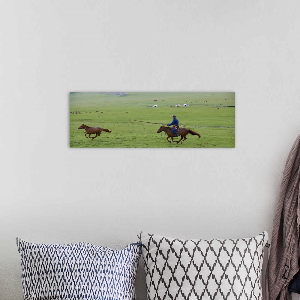 A bohemian room featuring Mongolia, Ovorkhangai Province, Rallying of horses at a Nomad camp in Okhon valley