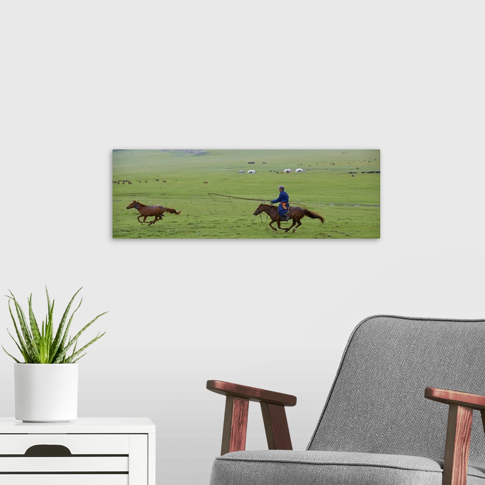 A modern room featuring Mongolia, Ovorkhangai Province, Rallying of horses at a Nomad camp in Okhon valley
