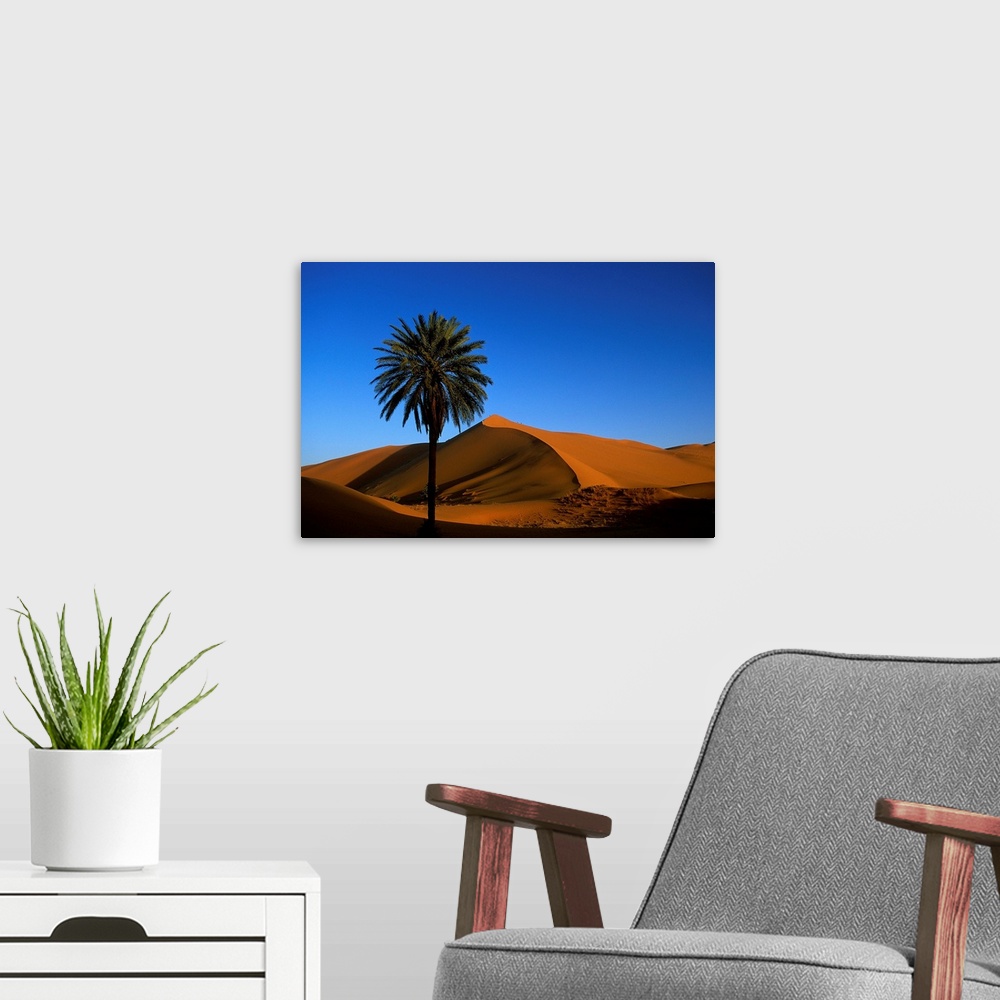 A modern room featuring Morocco, Erg Chebbi Desert