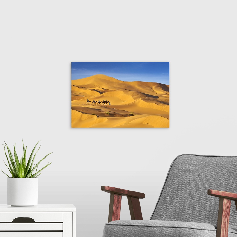 A modern room featuring Morocco, South Morocco, Sahara Desert, Erg Chebbi Desert, Merzouga, Camel Trek in the desert