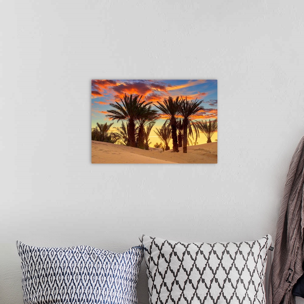 A bohemian room featuring Morocco, South Morocco, Sahara Desert, Erg Chebbi Desert, Merzouga, Palm trees at sunset.